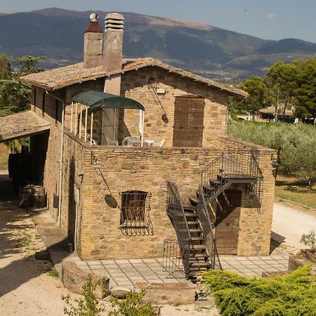 Country House Carmelita Limigiano Extérieur photo