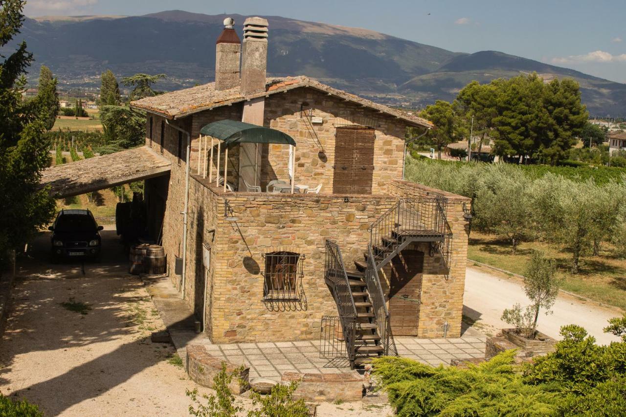 Country House Carmelita Limigiano Extérieur photo